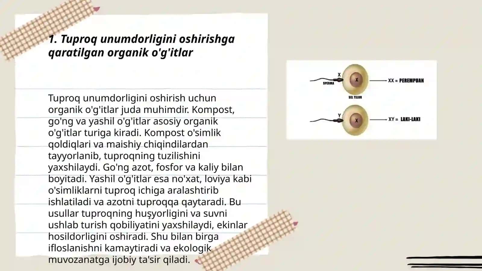 Tuproq unumdorligi va strukrurasini yaxshilashga qaratilgan ilmiy maqolalarni sharhi 3