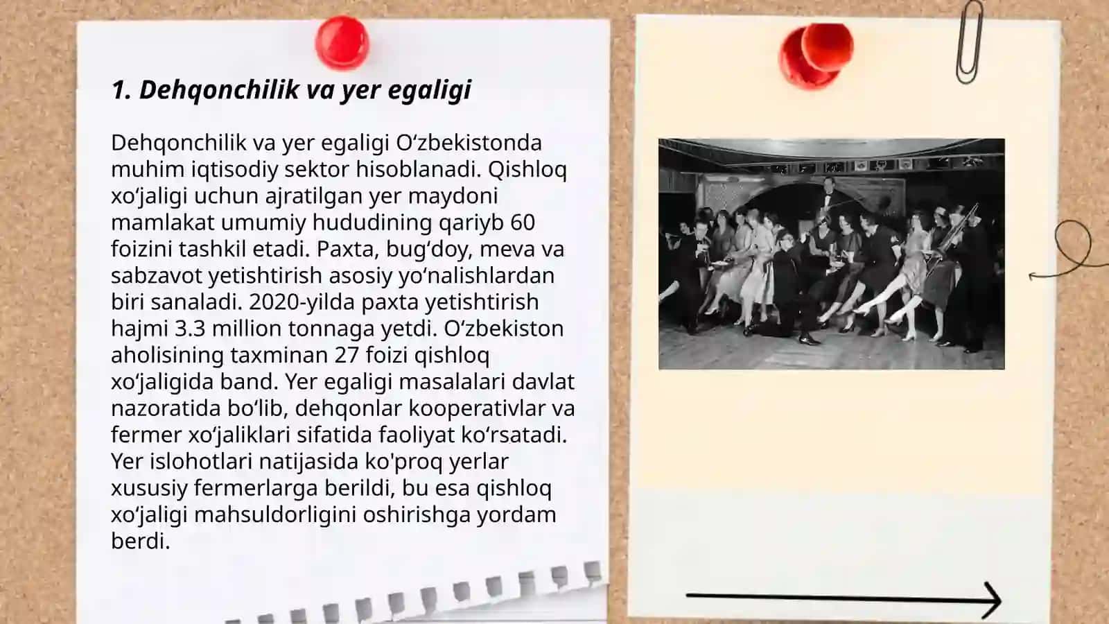 Dehqonchilik va yer egaligi 3