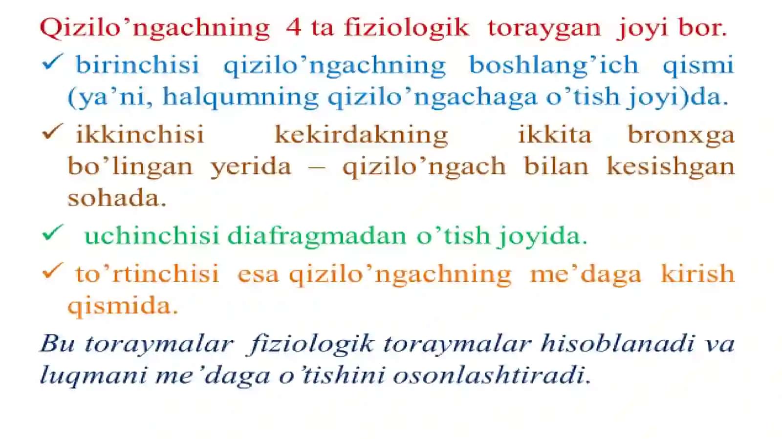 Ovqat hazm qilish tizimi.Qizilo'ngach va me'da anatomiyasi 3
