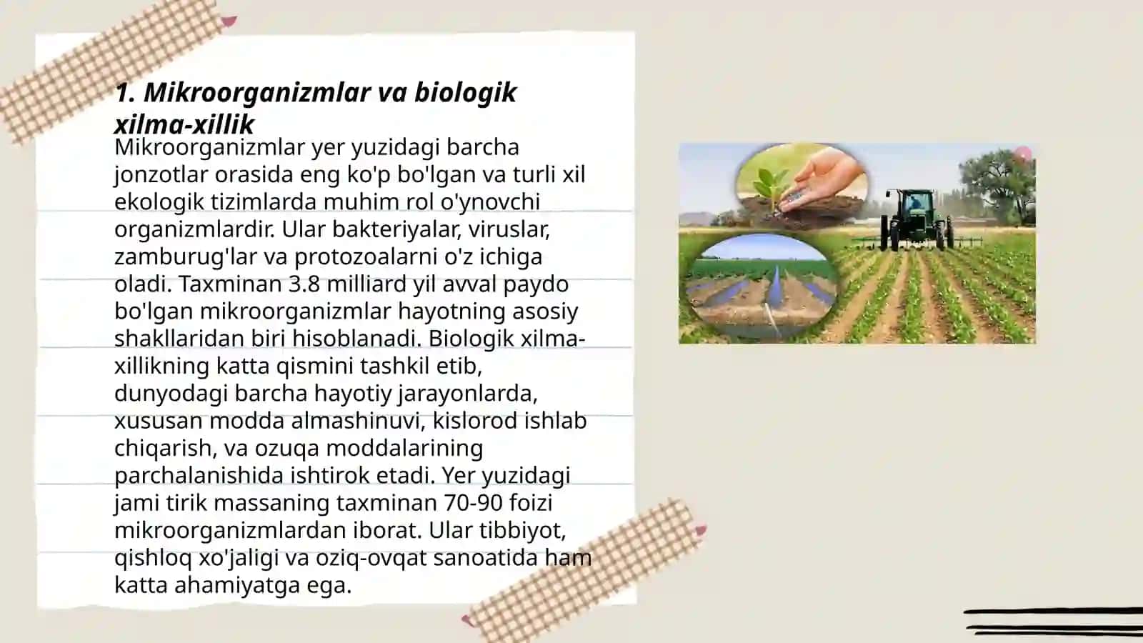 Mikroorganizmlarni g qishloq xojaligi va o'simliklarni himoya qilishdagi ahamiyati 3