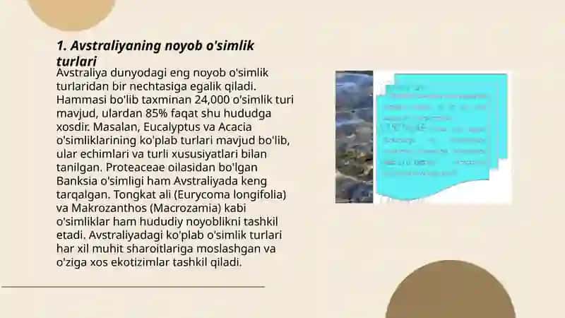 Avstraliya òsimlik va hayvonot dunyosi 3