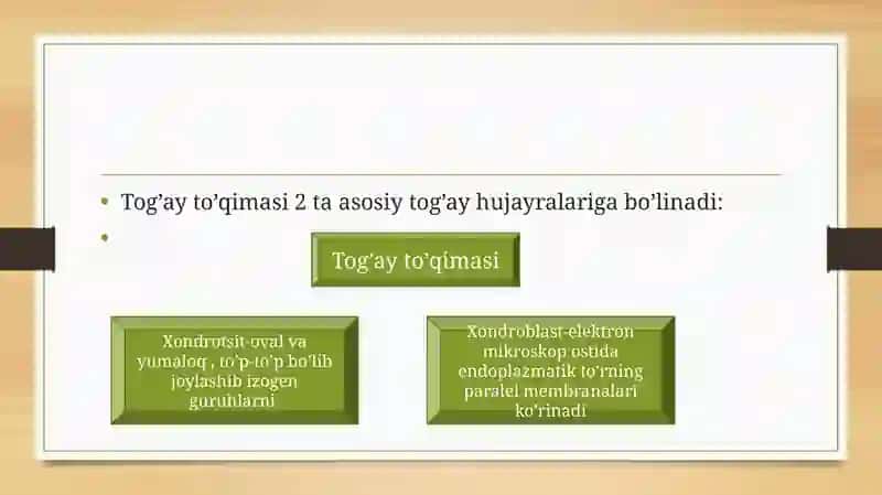 Tog’ay to’qimasining regeneratsiyasi va tranplantatsiyasi 3