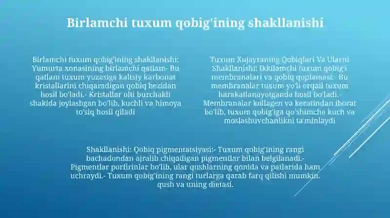 Tuxum Xujayraning Qobiqlari Va Ularni Shakllanishi 3