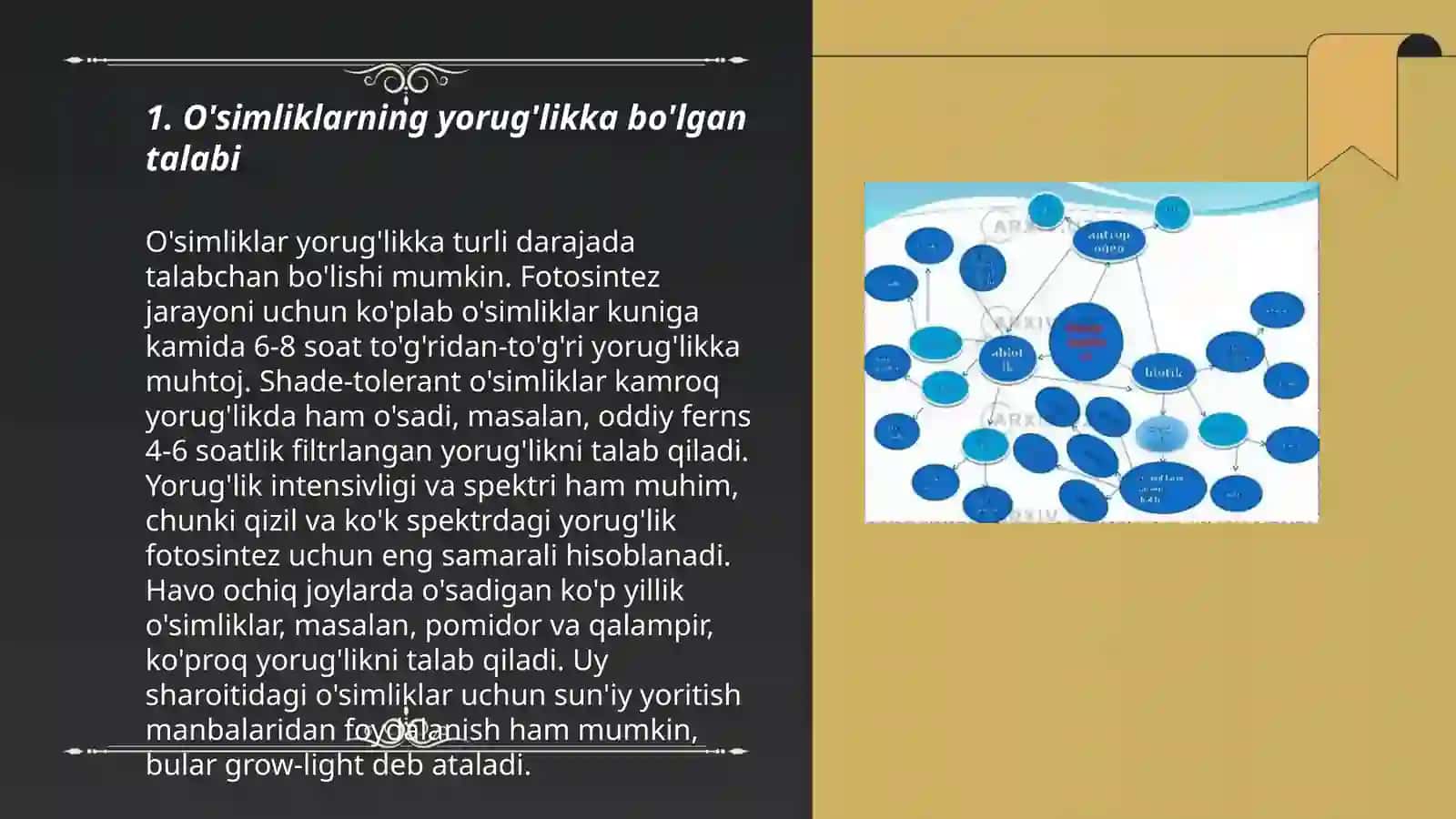O'simliklarning yorug'likka bo'lgan talabi 3