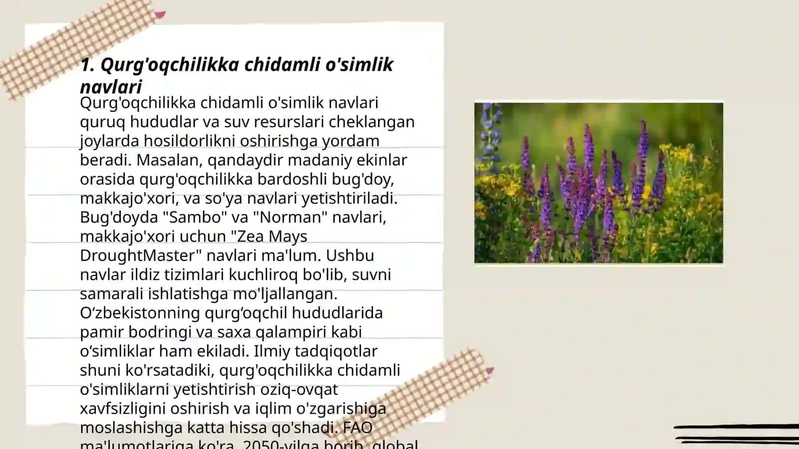 Qurg'oqchilikka chidamli o'simlik navlari 3