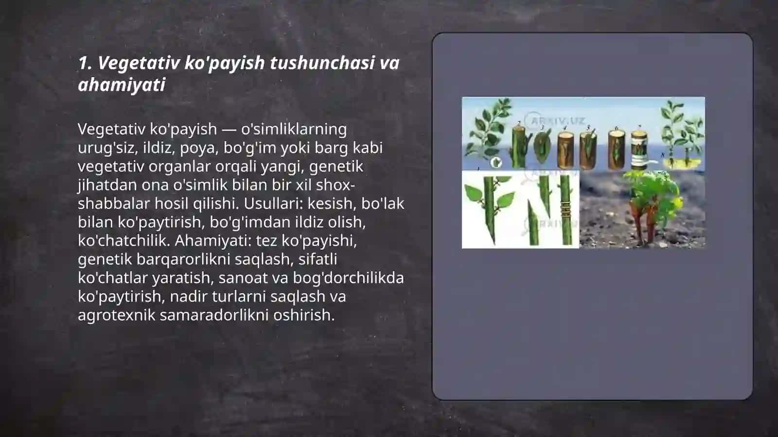 O'simliklarning vegetativ ko'payishi 3