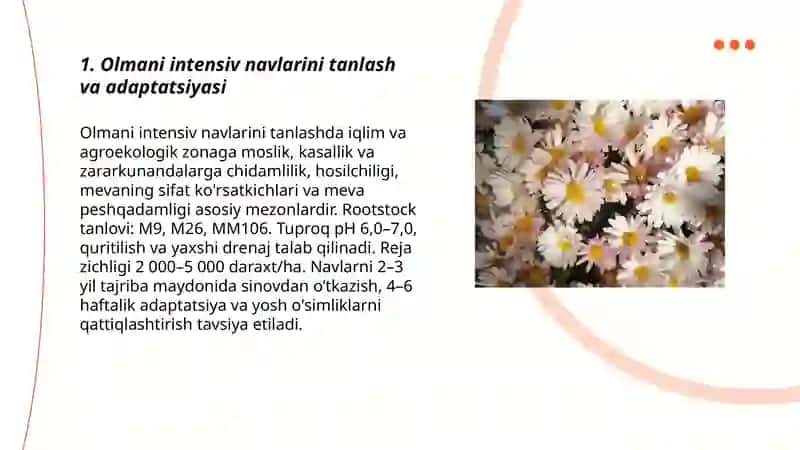 Olmani intensiv navlarini parvarish qilish texnologiyasi 3