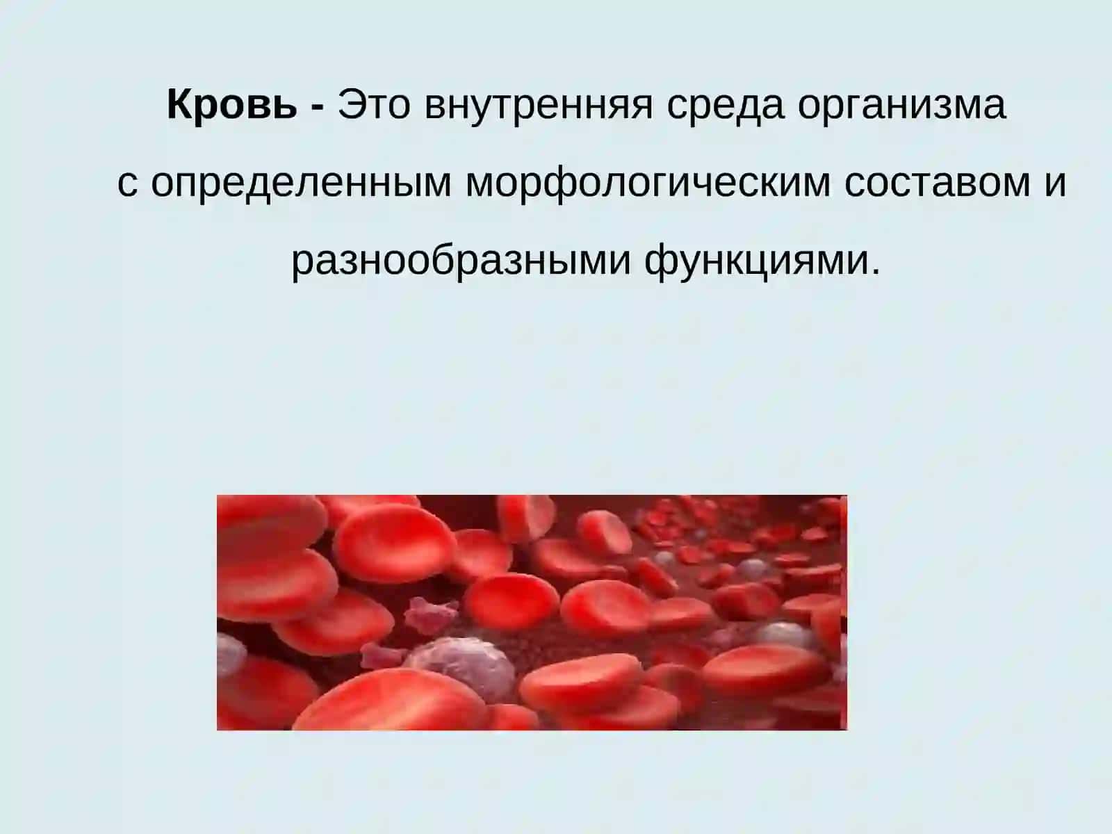 Особенности системы крови у детей 3
