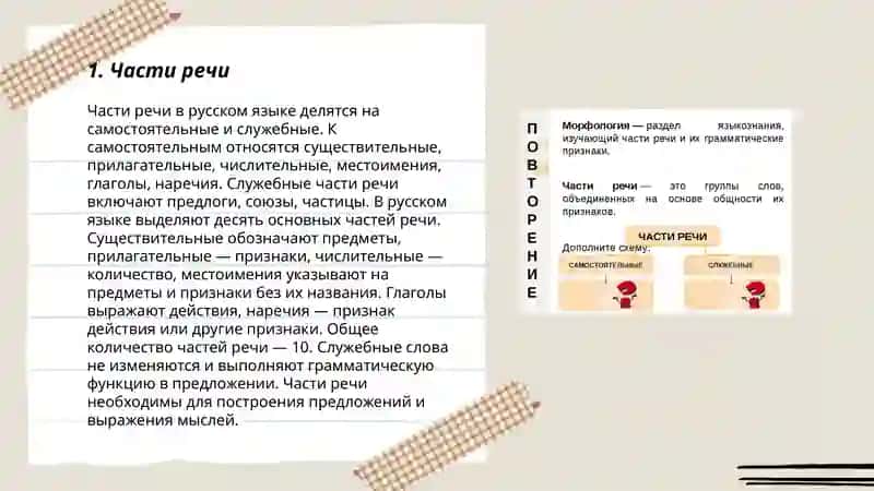 морфология 3