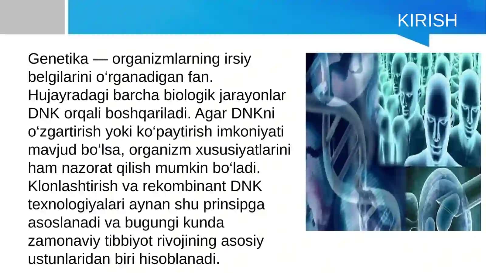 Klonlar, klonlashtirish va tibbiyotda rekombinant DNK texnologiyasi 3