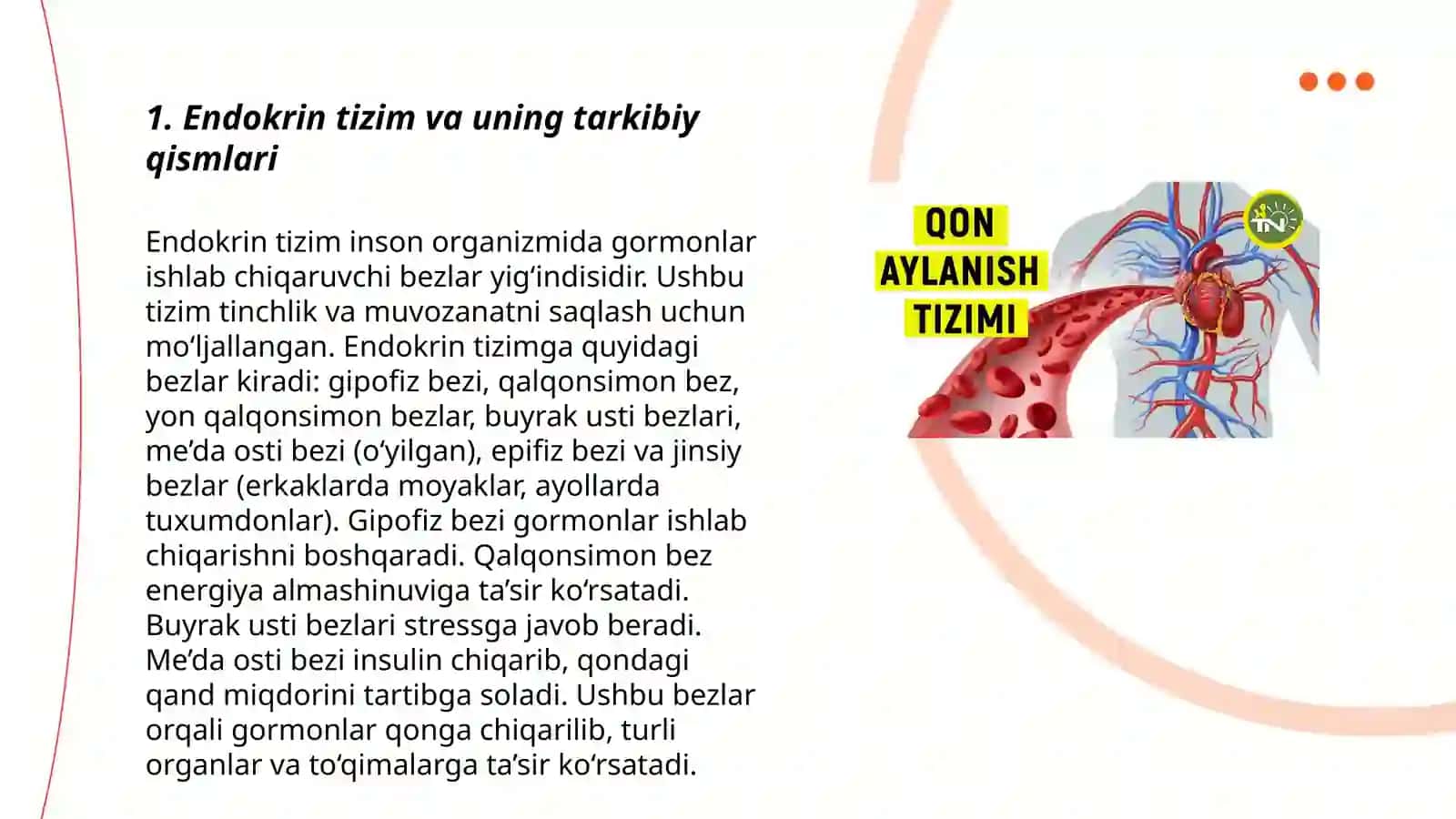 Yurakning endokrin faoliyati 3