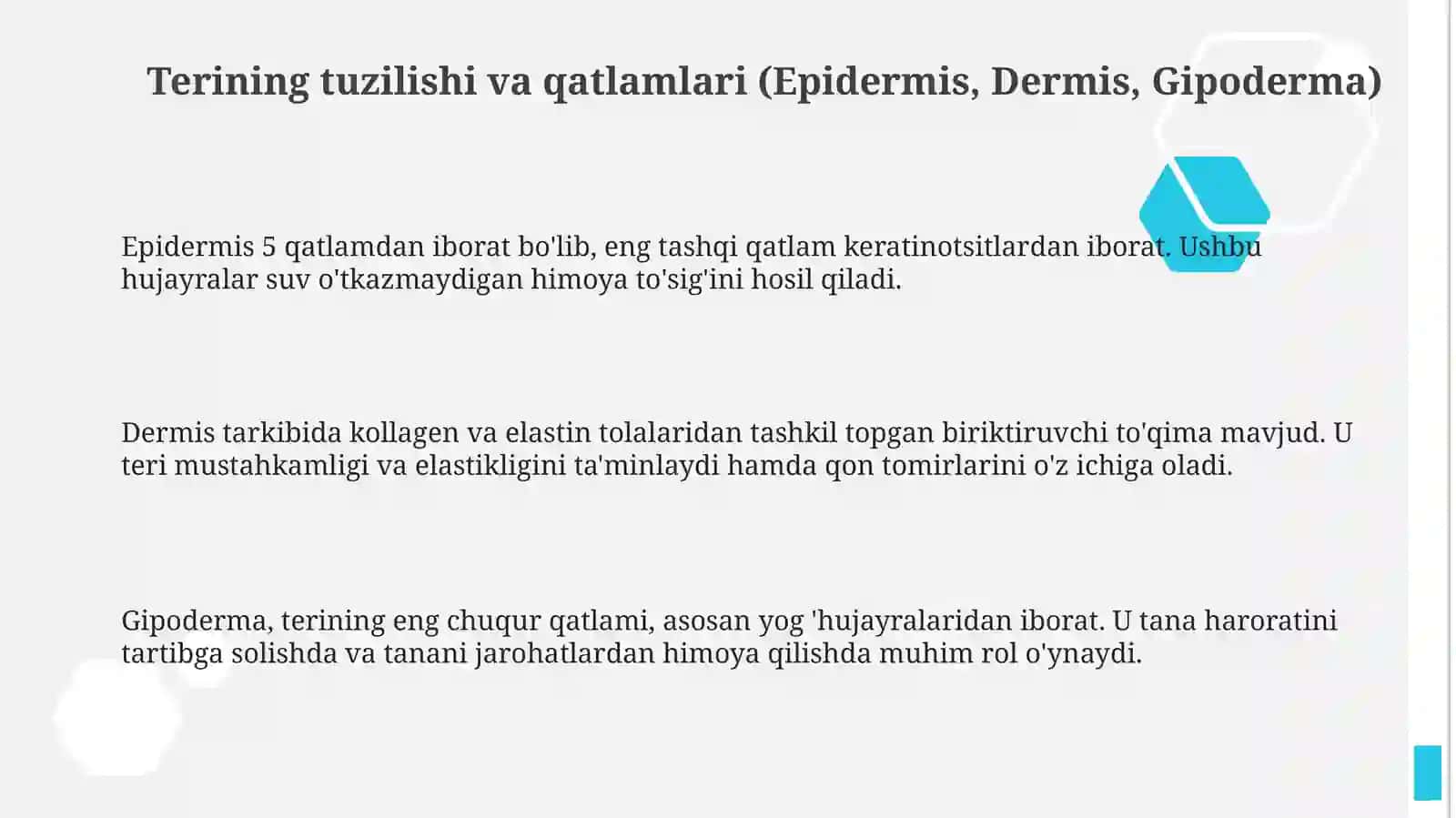 Teri funksiyasi va gistologiyasi 3