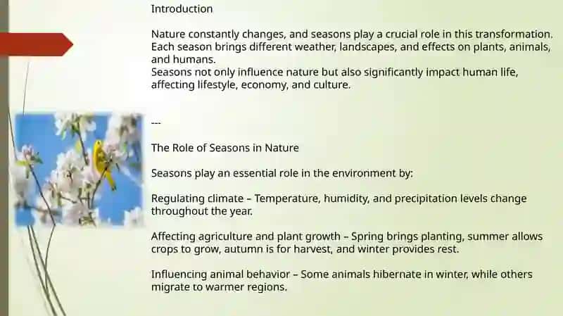 Seasons and Nature in Uzbekistan 3