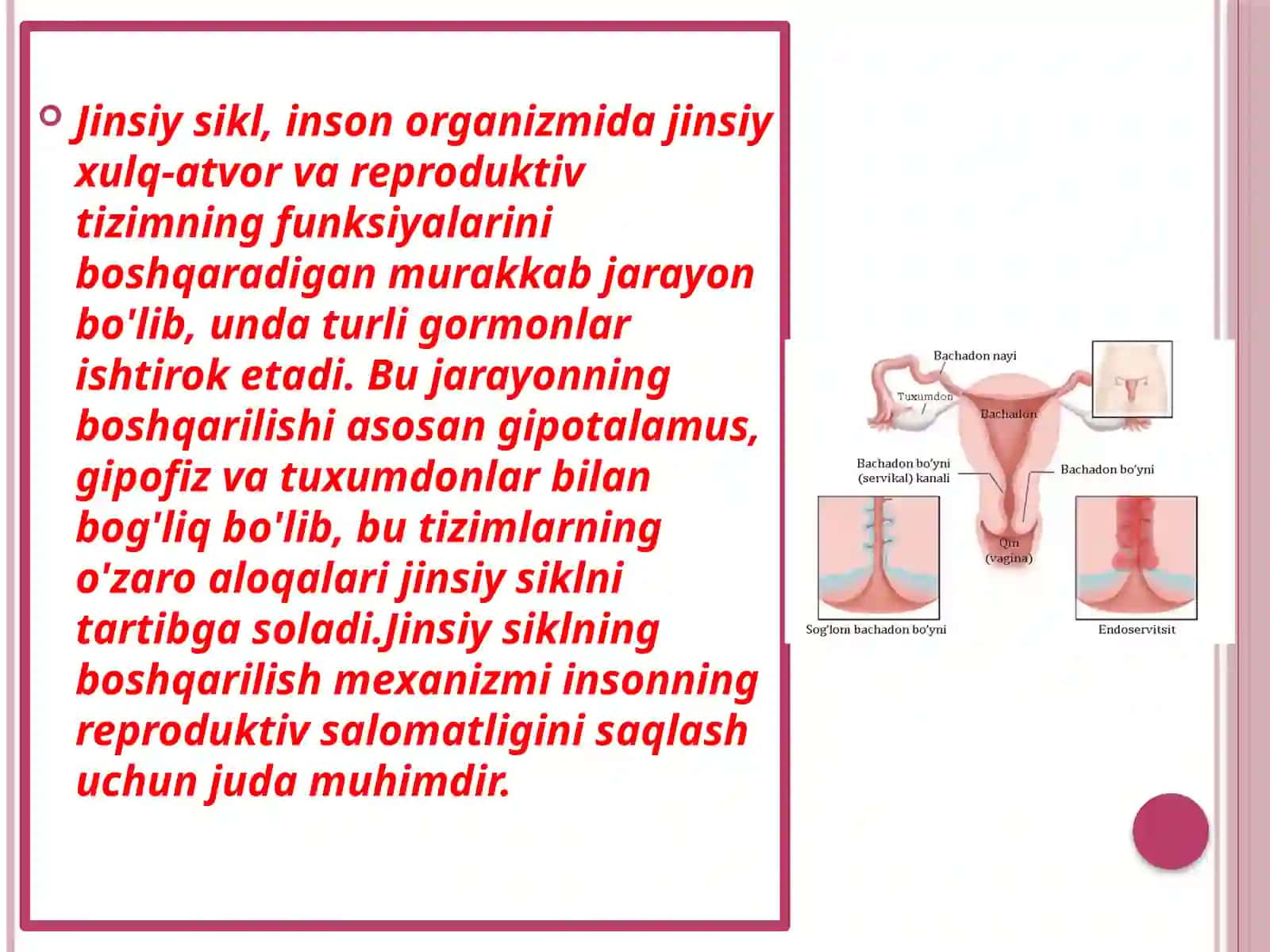 Gistalogiya Sitologiya va Embirologiya fanidan 3