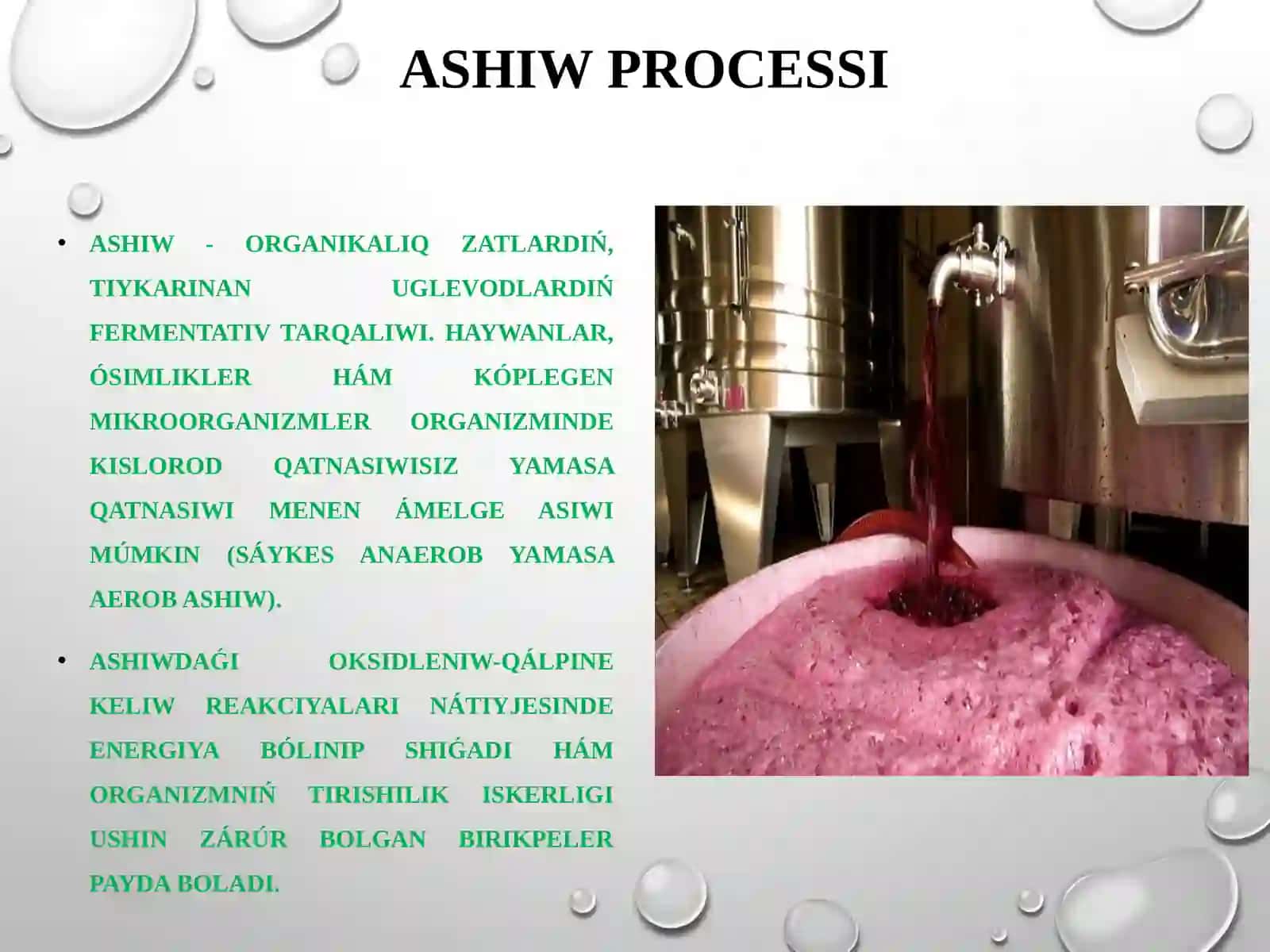 Ashiw processi hám onıń mikrobiologiyalıq tıykarları úyreniw 3