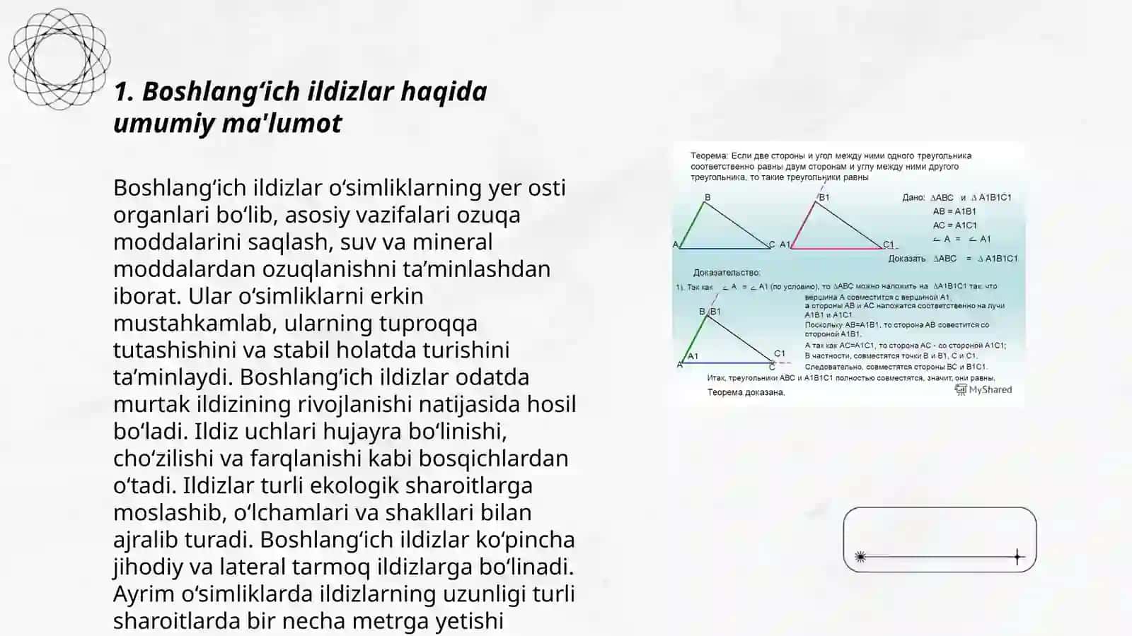 Boshlang‘ich ildizlar 3