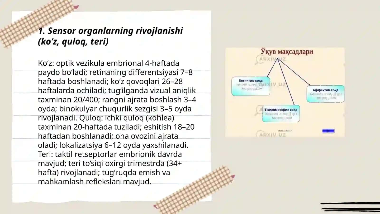 Sensor, perseptiv hamda kognitiv rivojlanish Keyingisi 3