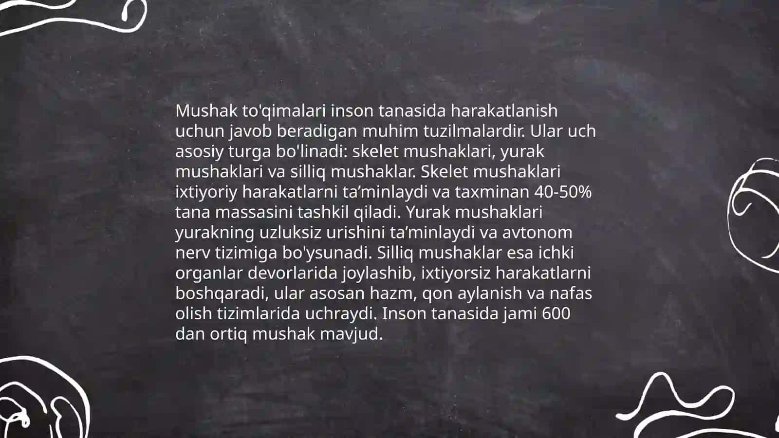 Hayvon muskullari 3