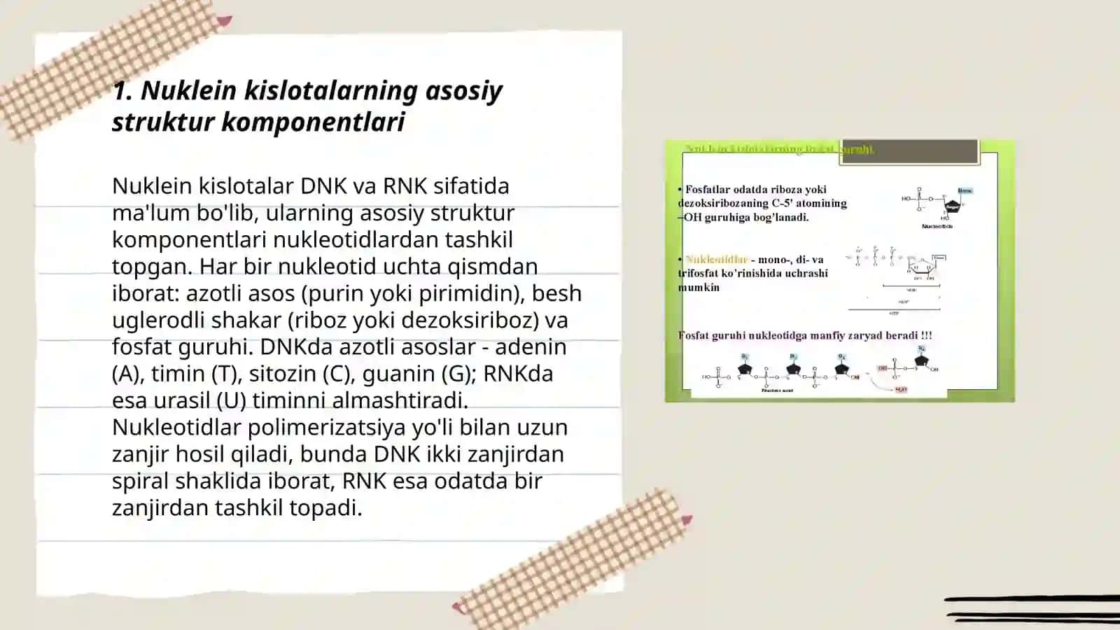 Nuklein kislotalarning tuzilishi va tuzilmalari 3
