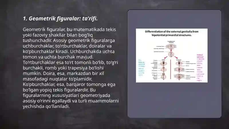 Geometrik figuralar va ularning xossalari 3