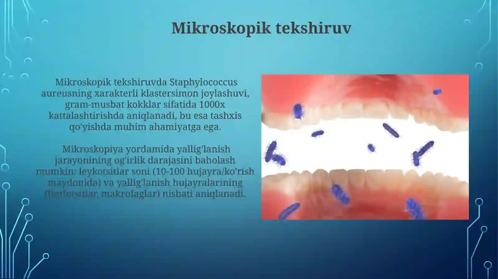 Og'iz bo'shlig'i shilliq qavati kasalliklarida mikroflora Stafilokokk Streptokokk 3