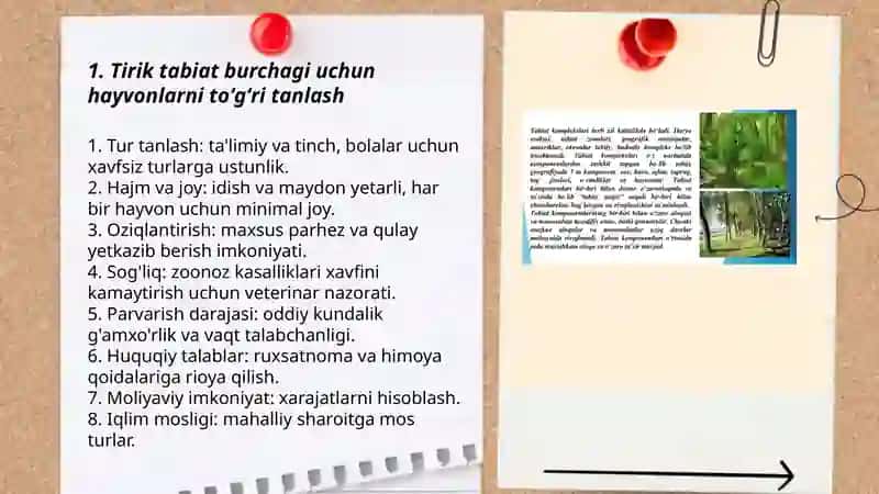 Tirik tabiat burchagida hayvonlarni saqlash va parvarishlash 3