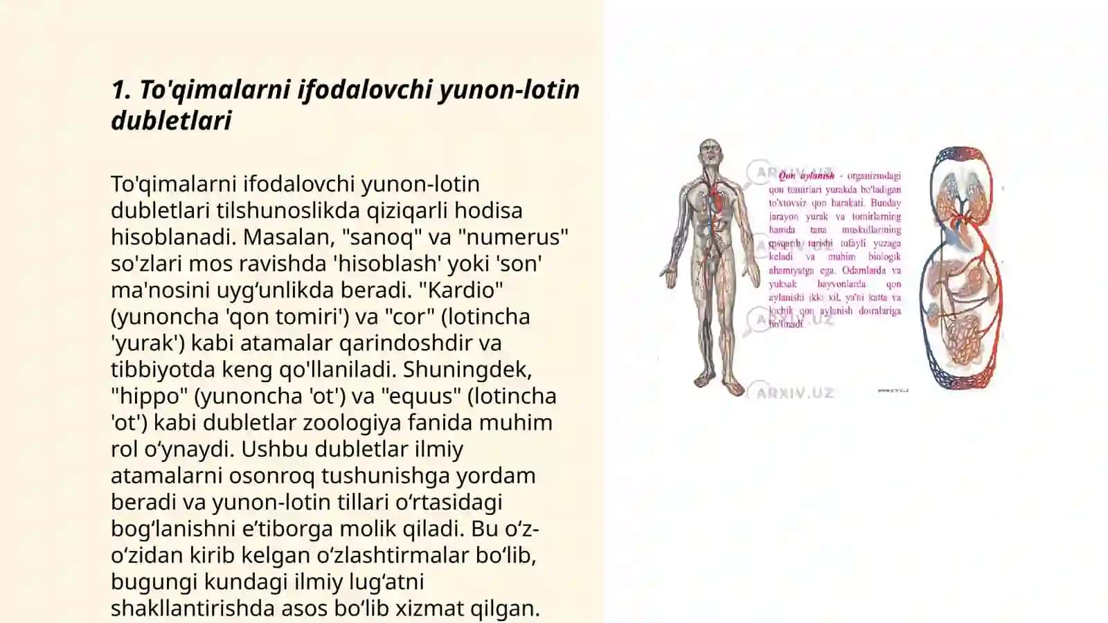 Yunon-lotin dubletlari va yakka AE lari 3