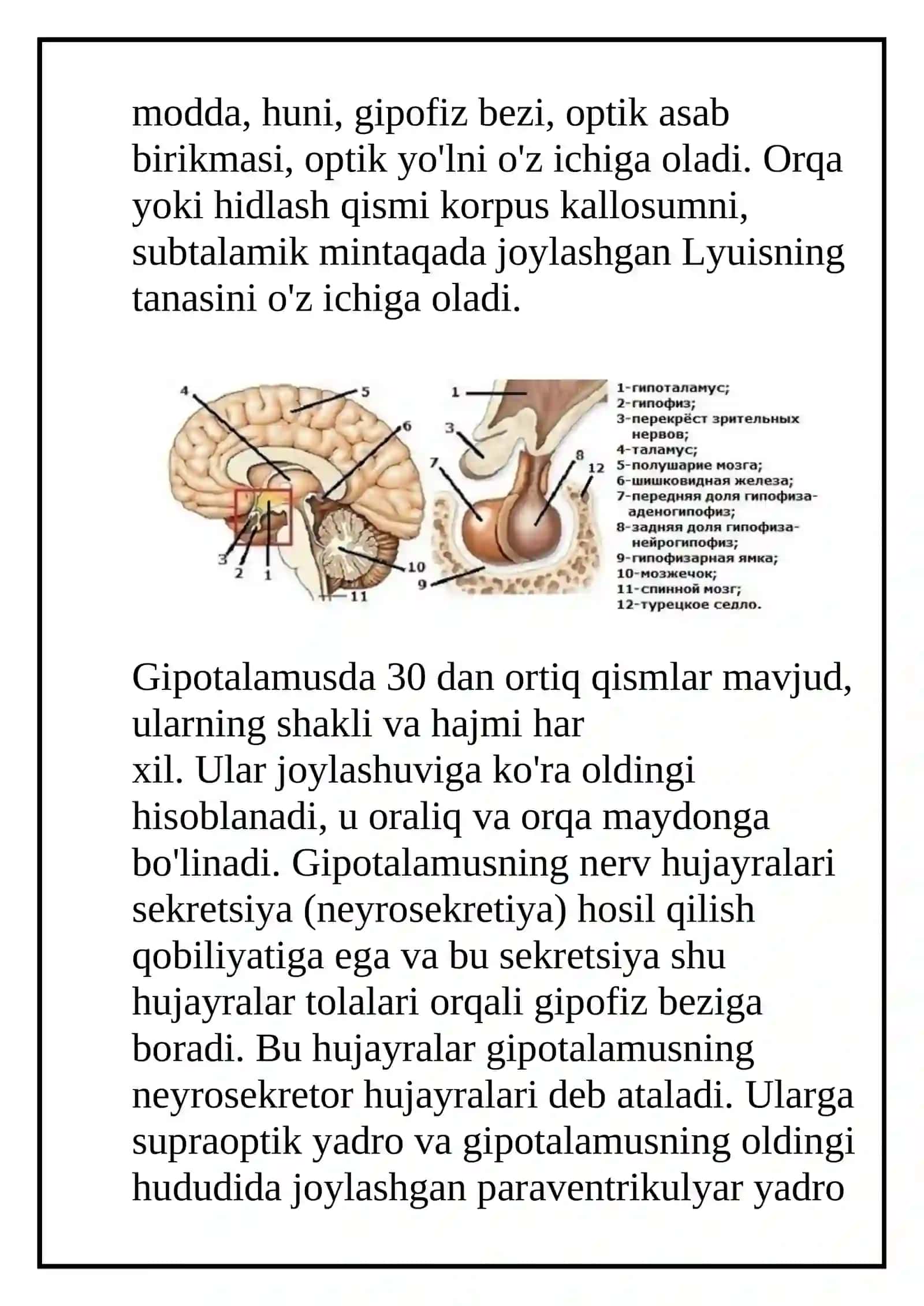Gipotalamus o’zaklari va ularning klinik ahamiyati 3