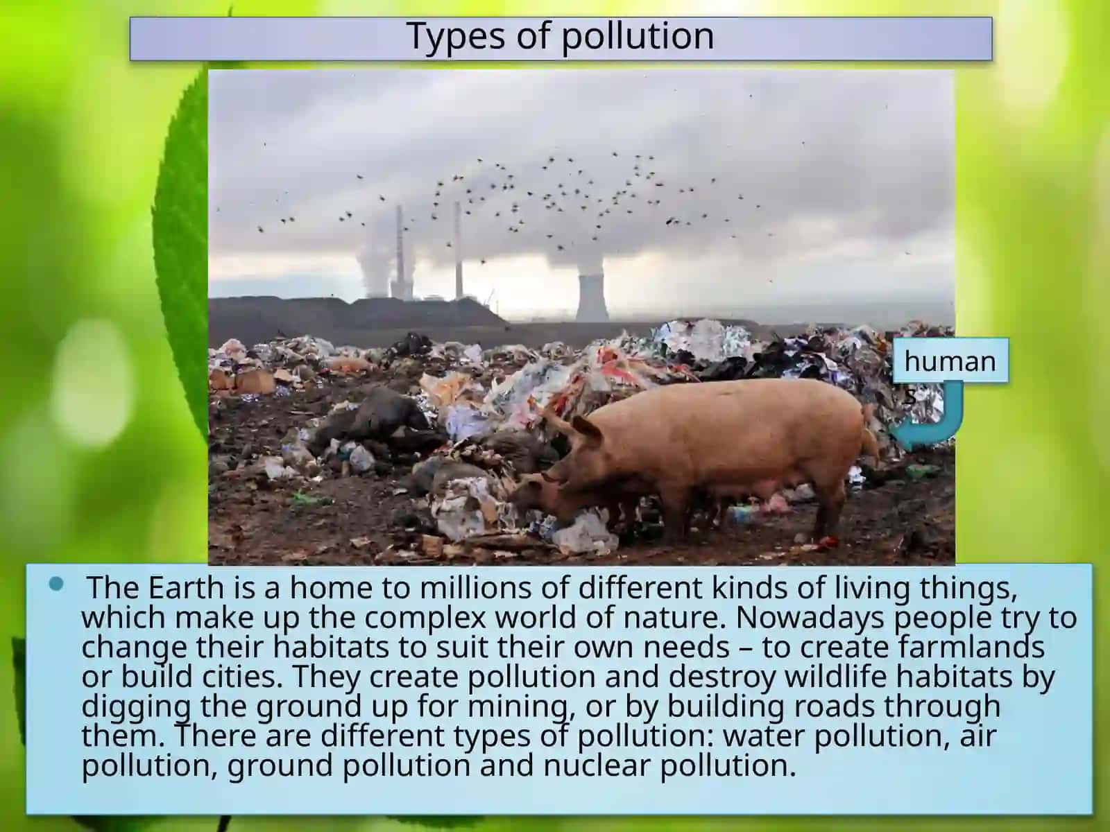 Ecolabor Xavfsizlik 3