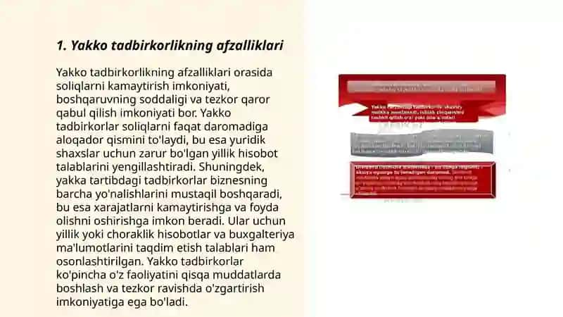 Yakka tadbirkorlik 3