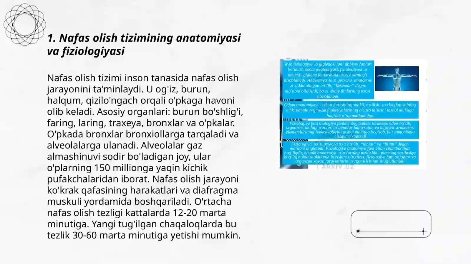 Nafas olish va Hazm qilish hamda ularning yoshga xos xususiyatlari 3