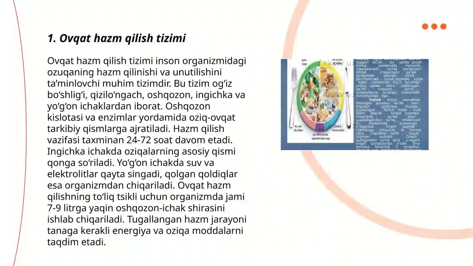 Ovqat va uning hazm bo’lishi haqida tushuncha 3