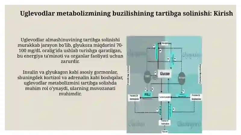 Uglevodlar almashinuvi boshqarilishining buzilishlari 3