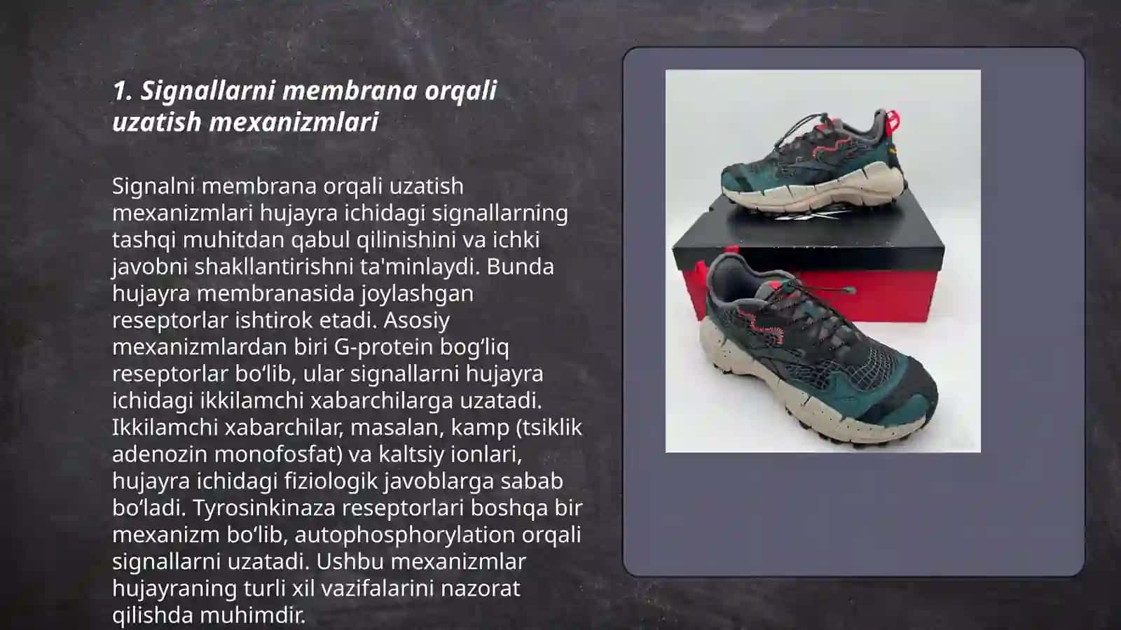 Signallarni membranalar orqali ótkazilishi. Membranalar buzilishlarni potologik jarayonni kelib chiqishida órni 3