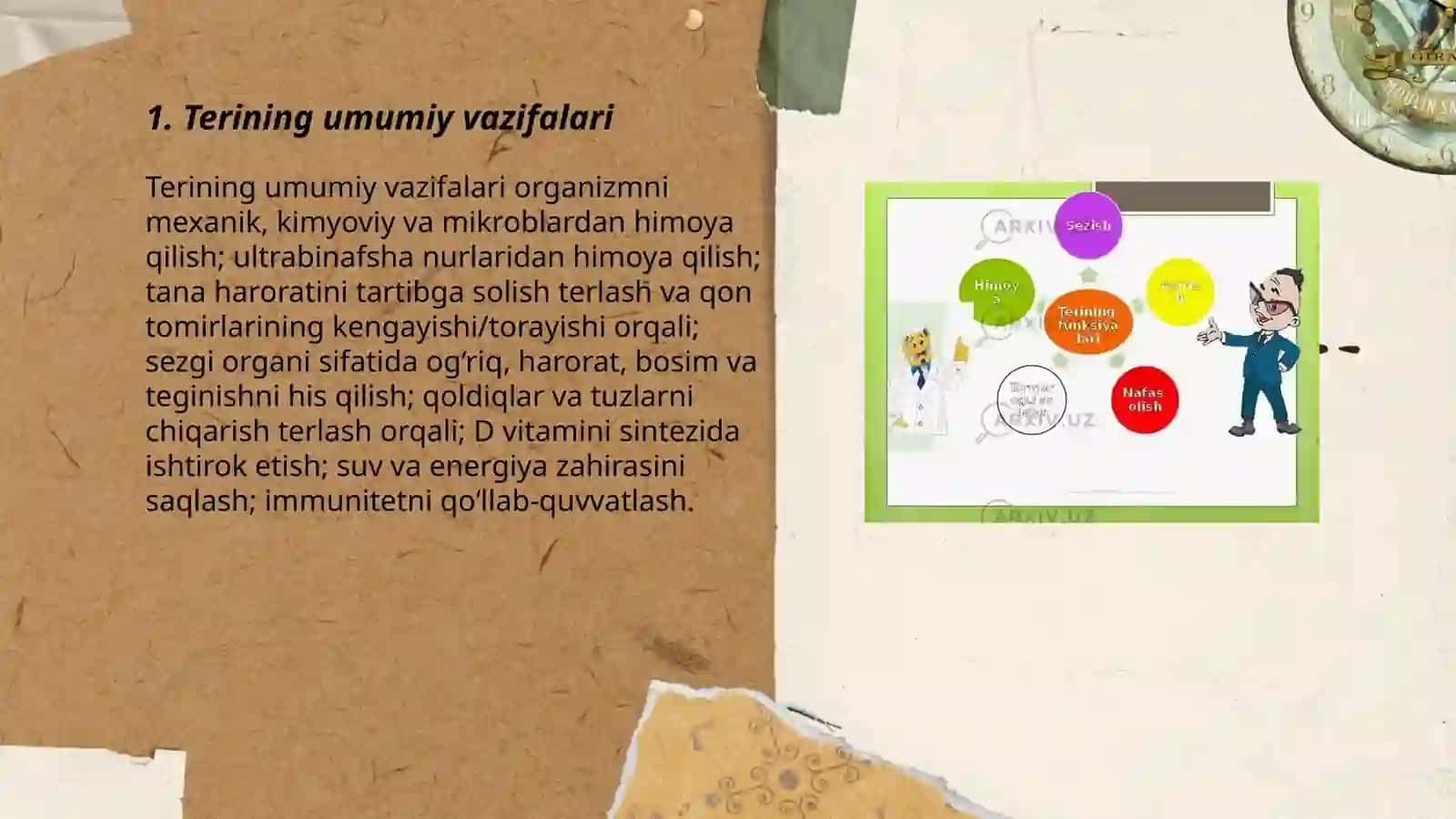 Terining tuzilishi va funksiyasi 8 sinf biologiya 3