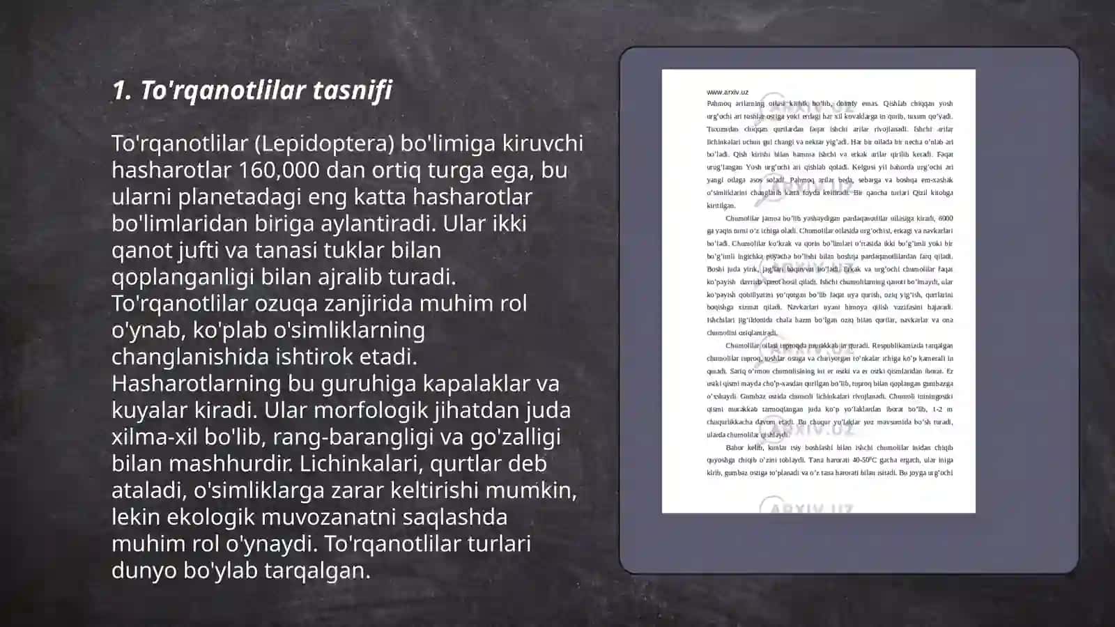 To'rqanotlilar turkumi 3