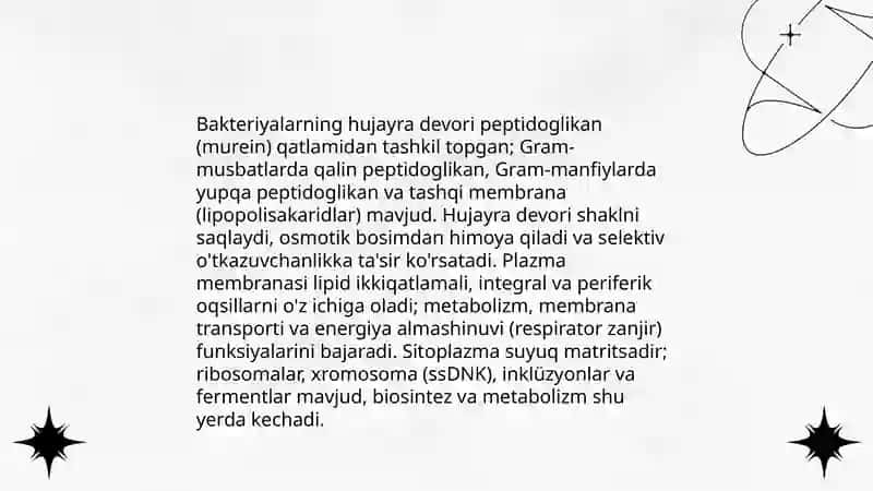 Bakteriyalar strukturasi va marfalogiyasi 3