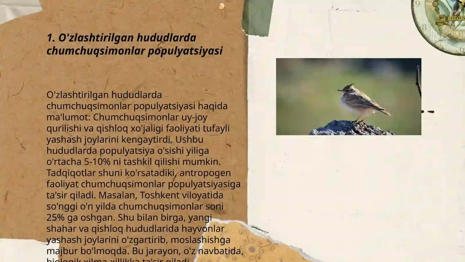 O'zlashtirilgan hudularda uchrovchi chumchuqsimonlarning bioekologik xususiyatlarini 3
