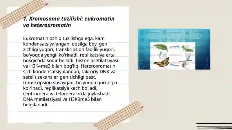 Tirik mavjudotlar xromosomalarning tuzilishi soni va genetik xaritalashdagi ahamiyati 3