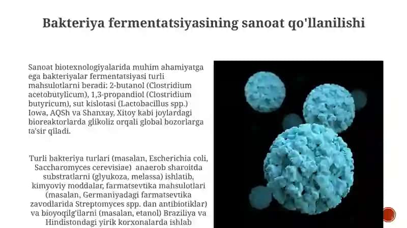 Bakteriya fermentatsiyasining sanoat qo'llanilishi 3