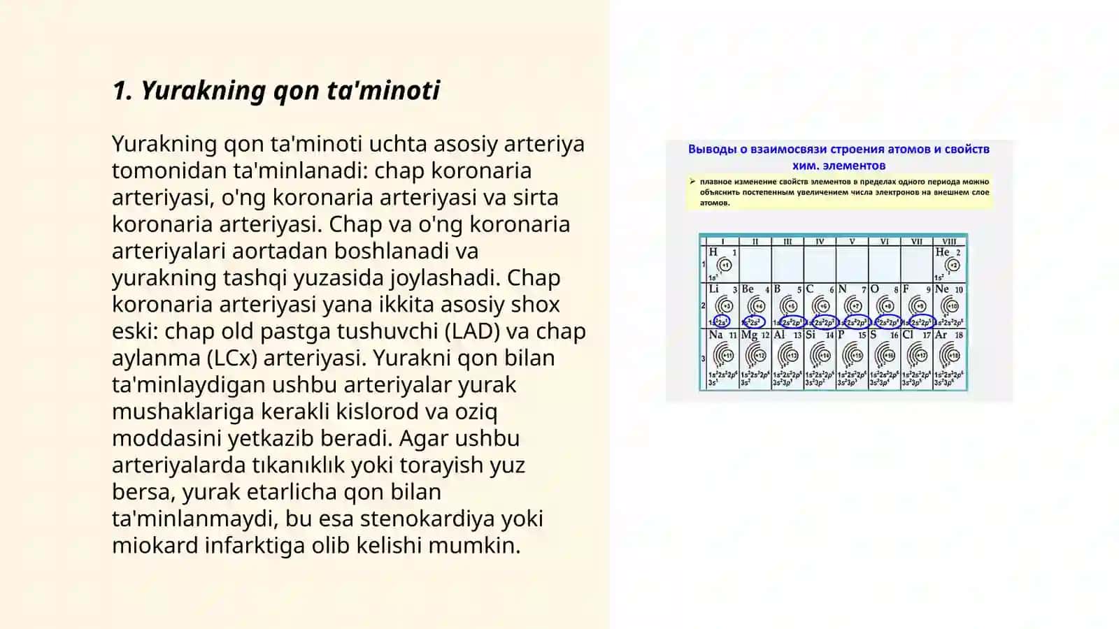 Yurakning qon ta'minoti 3