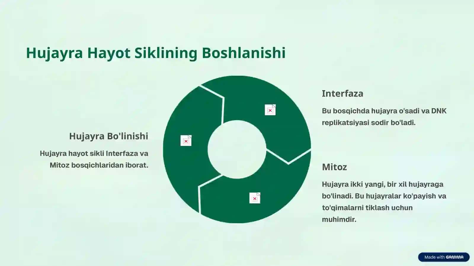 Hujayraning Hayot Sikli va Nurningta'siri 3
