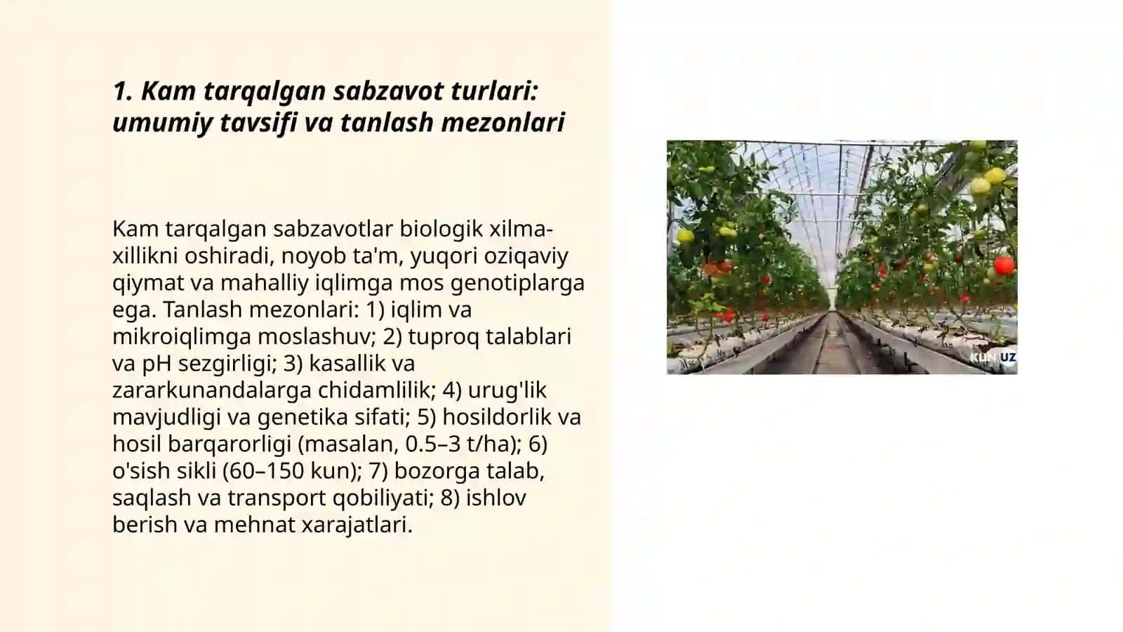 Kam tarqalgan sabzavot turlari ularni yetishtirish texnalogiyasi 3