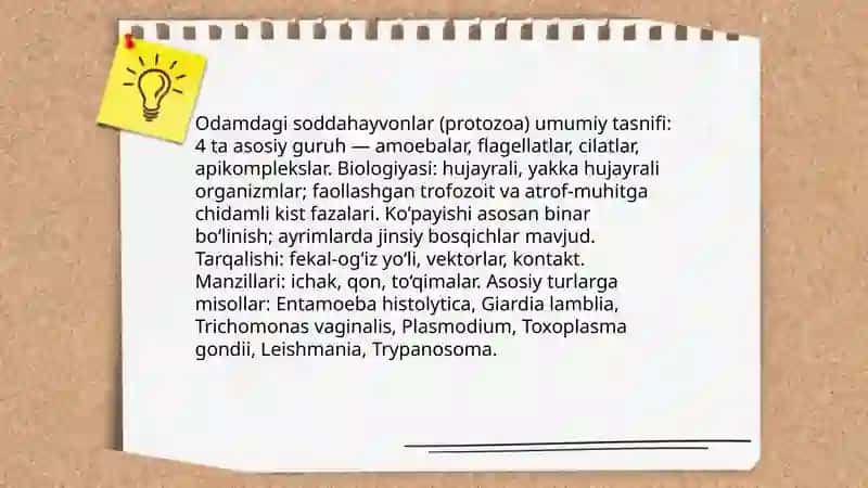 Odamda parazitlik qiluvchi sodda hayvonlar. Gelmintlar - odam parazitari.Parazitar kasalliklarning diagnostika usullari 3
