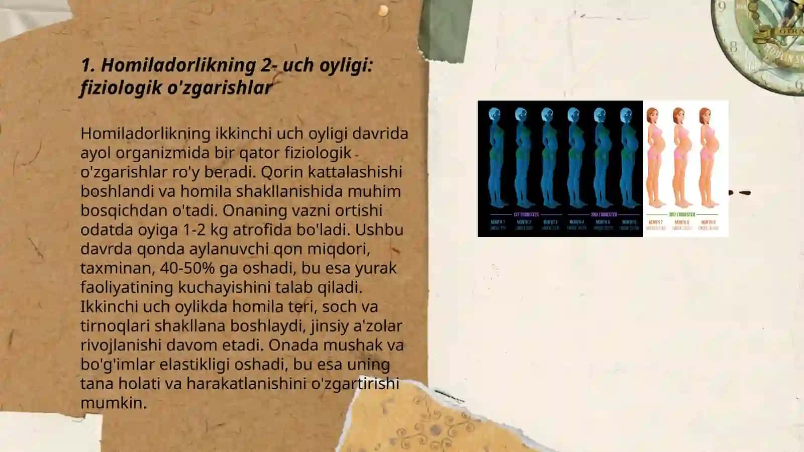 Homiladorlikni 2- uch oyligi va 3- uch oyligi 3