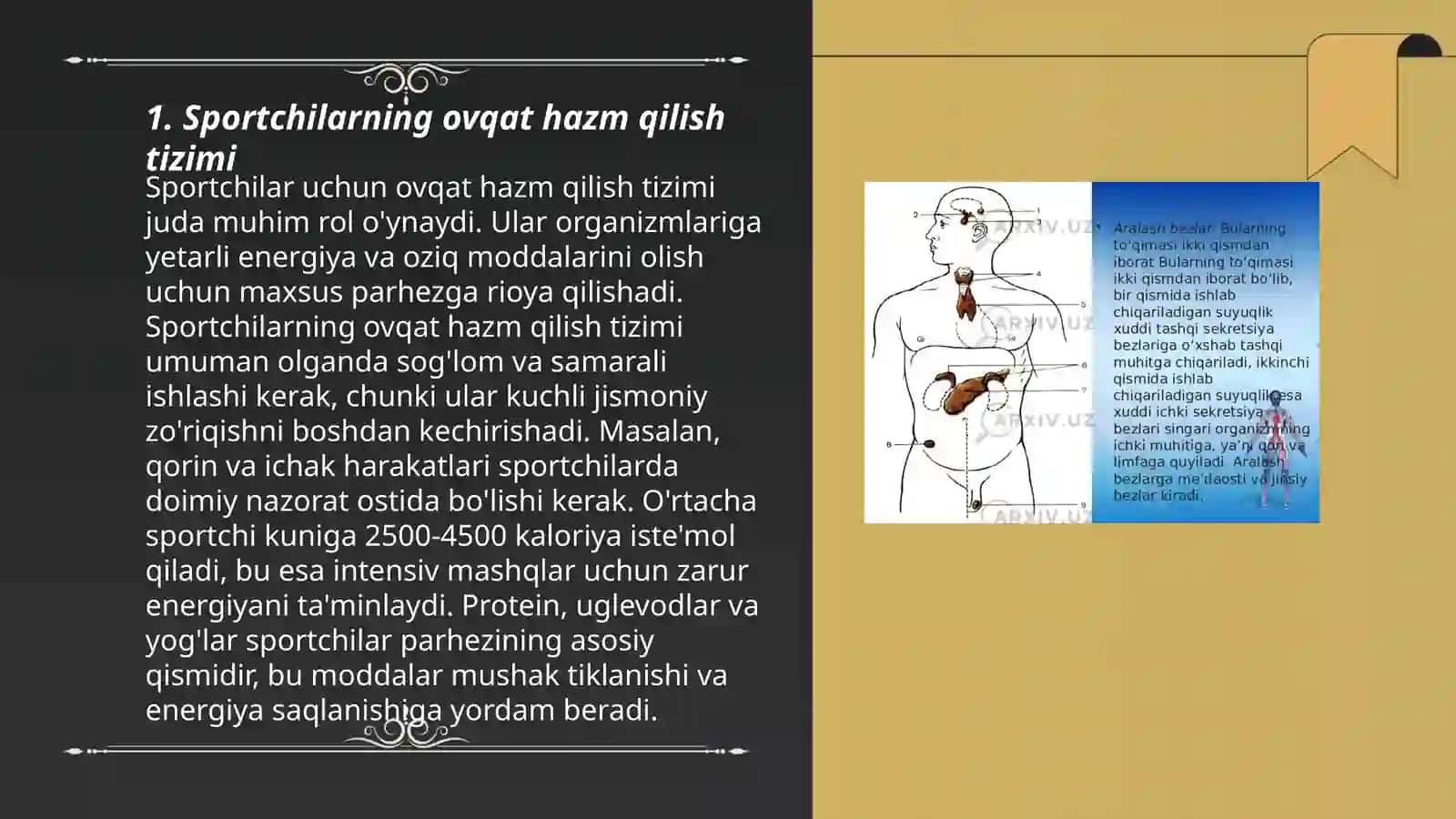 Sportchilarda normal va patologik davrlarida ovqat hazm qilish tizimiming hususiyatlari 3