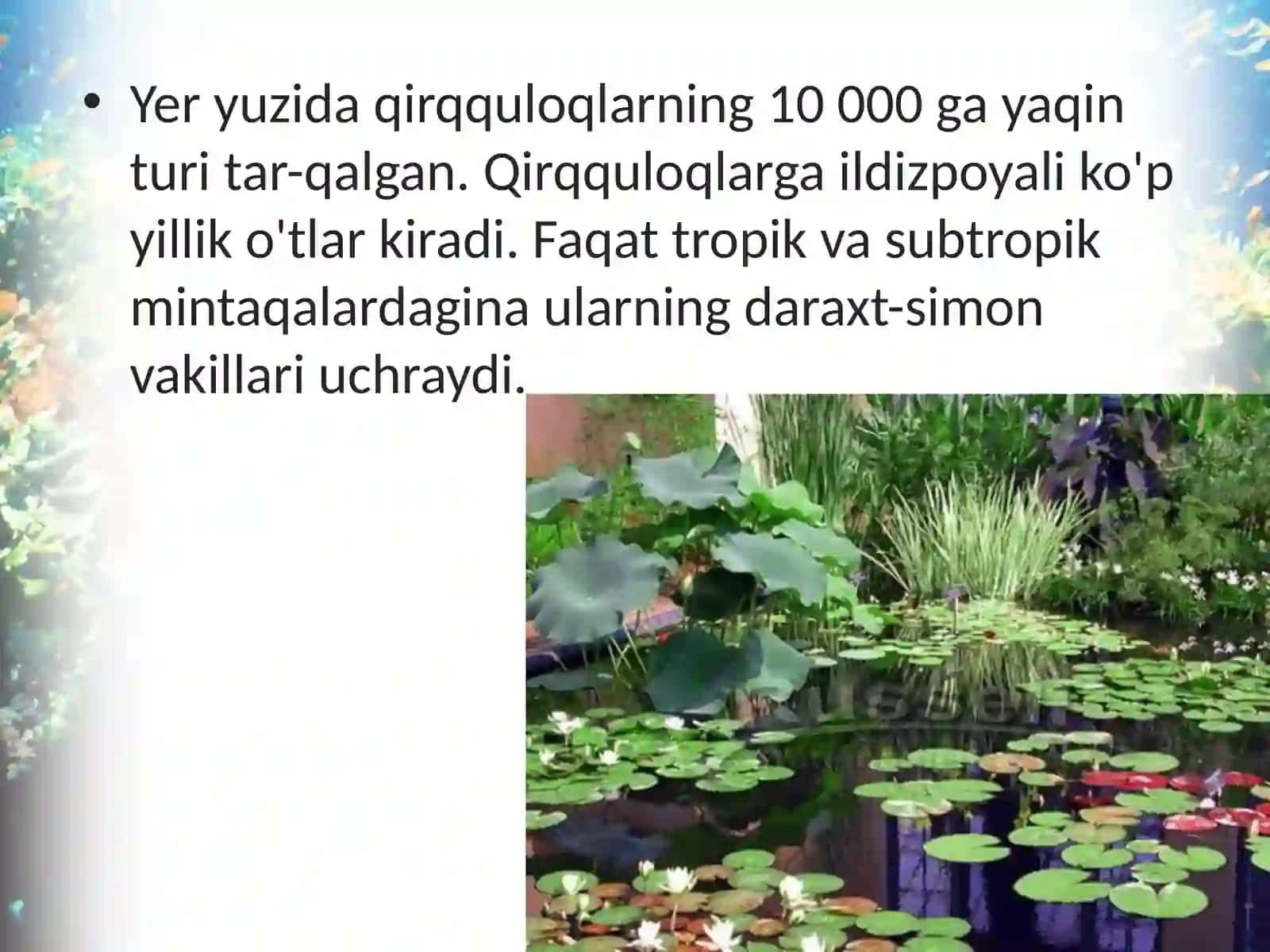 6-sinf Botanika Qirqquloqlar bo'limi 3
