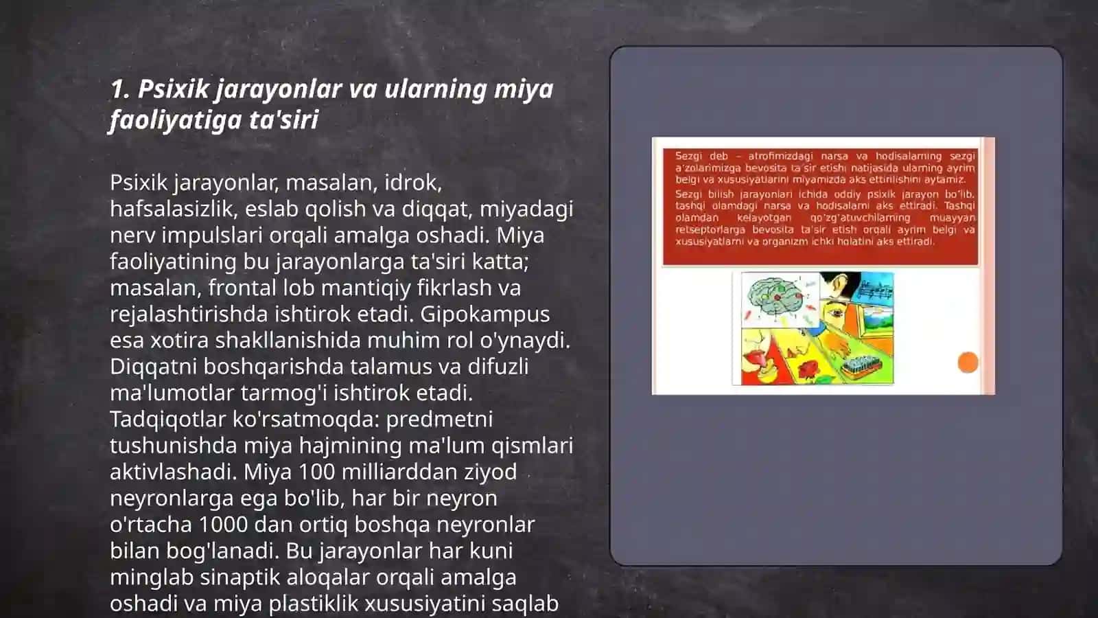 Psixik jarayonlar va miyaning oʻzaro aloqadorligi 3