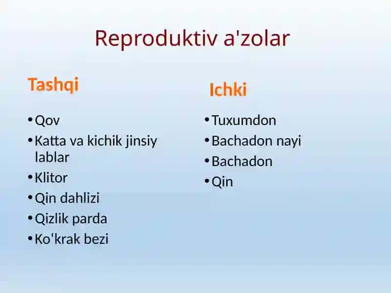 Ayollar jinsiy azolarining klinik anatomiyasi. Tug’ruq yo’llari. 3