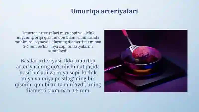 Basilar arteriyasi, ikki umurtqa arteriyasining qo'shilishi 3